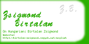 zsigmond birtalan business card